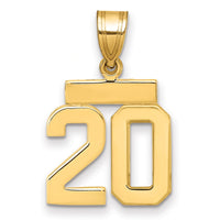 Load image into Gallery viewer, 14k Polished Small Number 20 Charm
