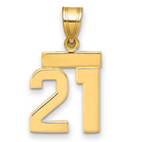 Load image into Gallery viewer, 14k Small Polished Number 21 Charm

