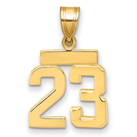 Load image into Gallery viewer, 14k Small Polished Number 23 Charm
