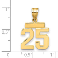Load image into Gallery viewer, 14k Small Polished Number 25 Charm

