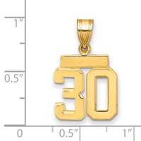 Load image into Gallery viewer, 14k Small Polished Number 30 Charm
