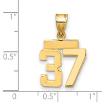 Load image into Gallery viewer, 14k Small Polished Number 37 Charm
