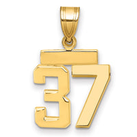 Load image into Gallery viewer, 14k Small Polished Number 37 Charm
