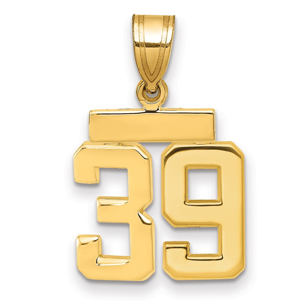 14k Small Polished Number 39 Charm