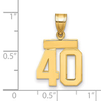 Load image into Gallery viewer, 14k Small Polished Number 40 Charm
