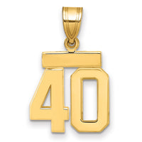 Load image into Gallery viewer, 14k Small Polished Number 40 Charm
