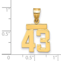 Load image into Gallery viewer, 14k Small Polished Number 43 Charm
