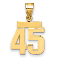 Load image into Gallery viewer, 14k Small Polished Number 45 Charm
