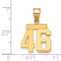 Load image into Gallery viewer, 14k Small Polished Number 46 Charm
