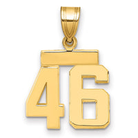 Load image into Gallery viewer, 14k Small Polished Number 46 Charm
