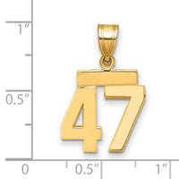 Load image into Gallery viewer, 14k Small Polished Number 47 Charm
