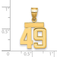 Load image into Gallery viewer, 14k Small Polished Number 49 Charm
