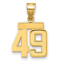Load image into Gallery viewer, 14k Small Polished Number 49 Charm
