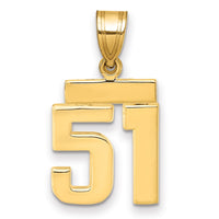 Load image into Gallery viewer, 14k Small Polished Number 51 Charm
