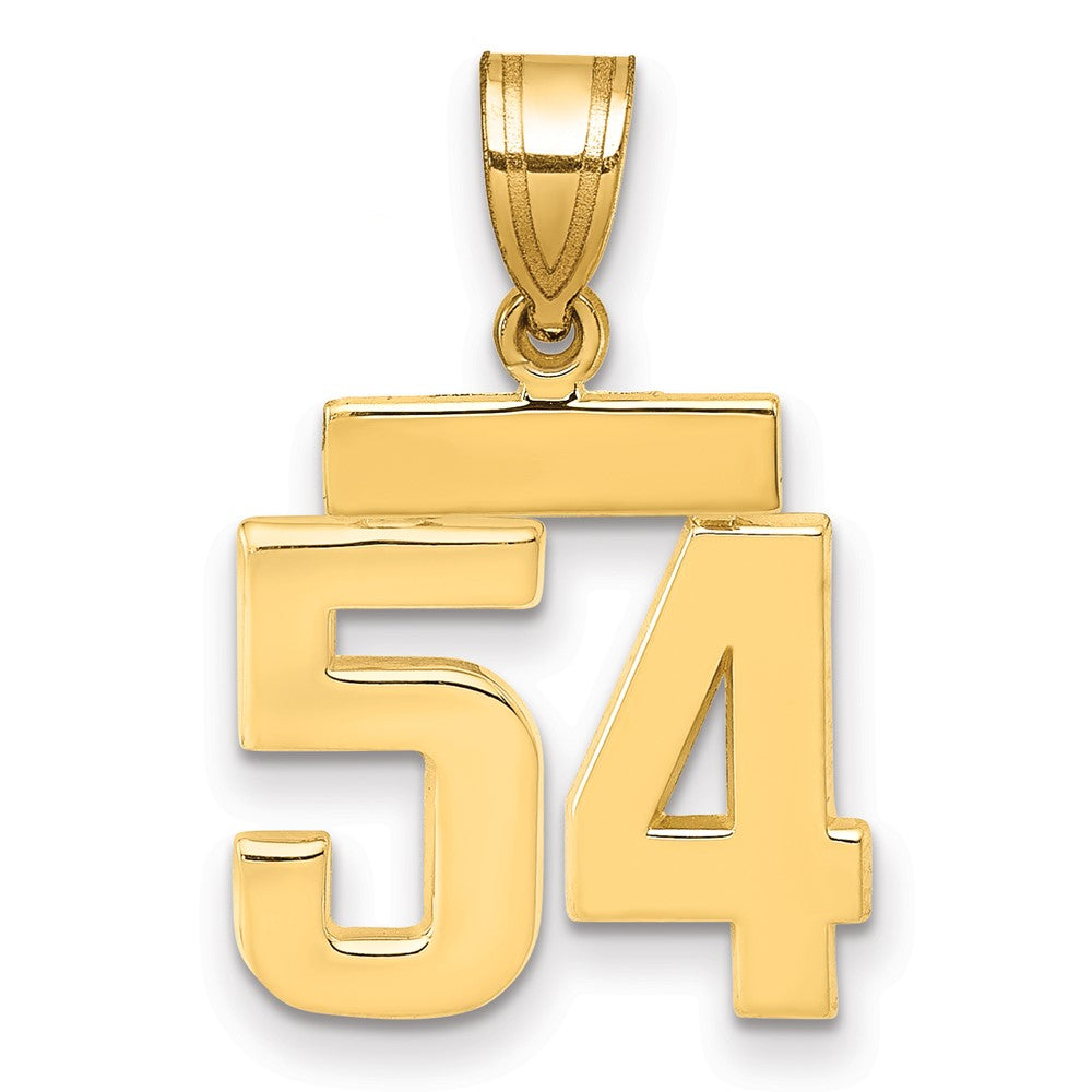 14k Small Polished Number 54 Charm
