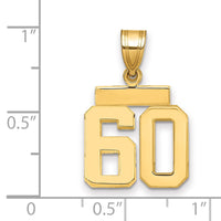 Load image into Gallery viewer, 14k Small Polished Number 60 Charm
