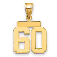 Load image into Gallery viewer, 14k Small Polished Number 60 Charm
