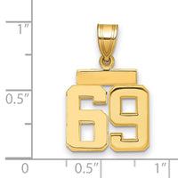 Load image into Gallery viewer, 14k Small Polished Number 69 Charm
