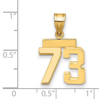 Load image into Gallery viewer, 14k Small Polished Number 73 Charm
