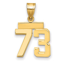 Load image into Gallery viewer, 14k Small Polished Number 73 Charm
