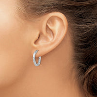 Load image into Gallery viewer, 10K White Gold Textured Hinged Hoop Earrings
