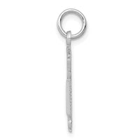 Load image into Gallery viewer, 14k White Gold RN Registered Nurse Charm
