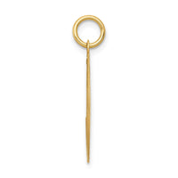 Load image into Gallery viewer, 14k Labrador Retriever Disc Charm
