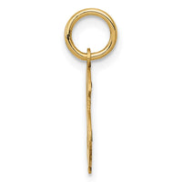 Load image into Gallery viewer, 14k Polished Dollar Sign Charm
