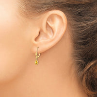 Load image into Gallery viewer, 14k 6x4 Oval Bezel November/Citrine Leverback Earrings

