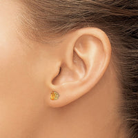 Load image into Gallery viewer, 14k Citrine Earrings - November
