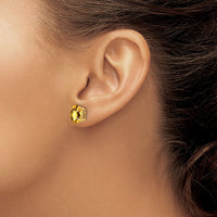 Load image into Gallery viewer, 14k 9x7mm Oval Citrine Checker Earrings
