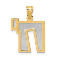 Load image into Gallery viewer, 14k Two-Tone Solid Satin Chai Charm
