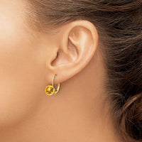 Load image into Gallery viewer, 14k 7mm Citrine Leverback Earrings
