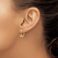 Load image into Gallery viewer, 14k 5mm Heart Citrine Leverback Earrings
