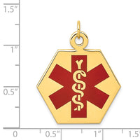 Load image into Gallery viewer, 14k Red Enamel Medical Jewelry Pendant
