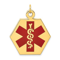 Load image into Gallery viewer, 14k Red Enamel Medical Jewelry Pendant
