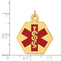 Load image into Gallery viewer, 14k Red Enamel Medical Jewelry Pendant
