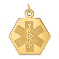 Load image into Gallery viewer, 14k Medical Jewelry Unenameled Pendant
