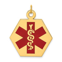Load image into Gallery viewer, 14k Red Enamel Medical Jewelry Pendant
