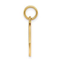 Load image into Gallery viewer, 14k Red Enamel Medical Jewelry Pendant
