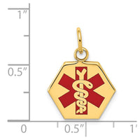 Load image into Gallery viewer, 14k Red Enamel Medical Jewelry Pendant
