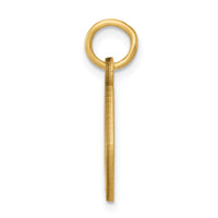 Load image into Gallery viewer, 14k Non-enameled Medical Jewelry Pendant
