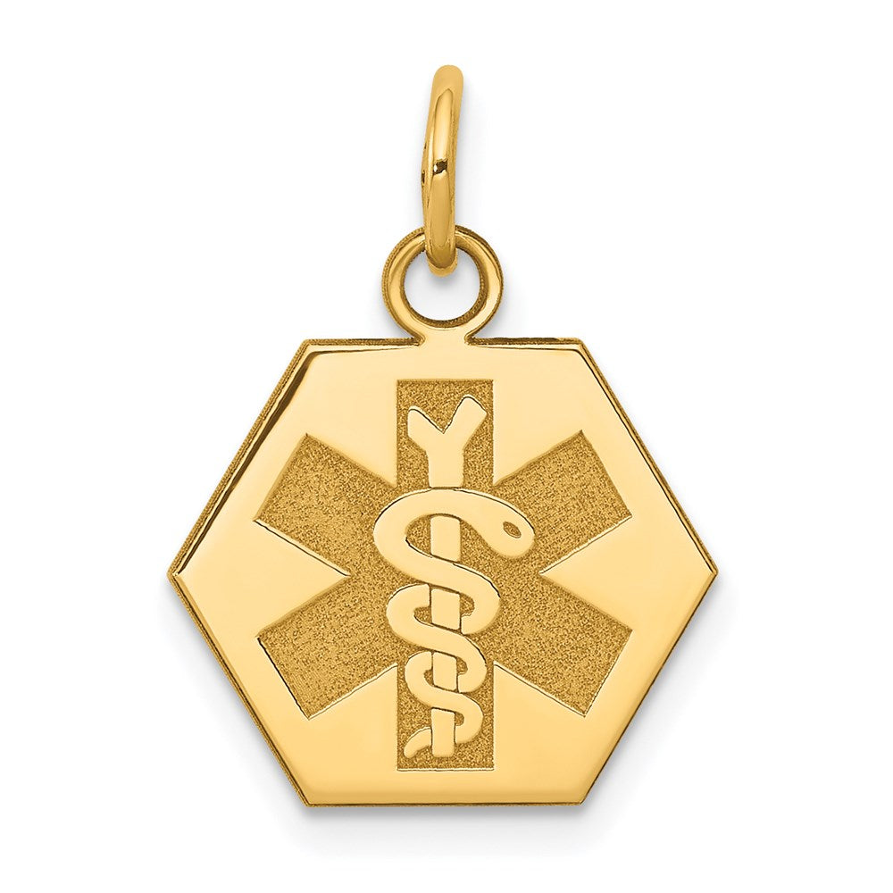 14k Non-enameled Medical Jewelry Pendant