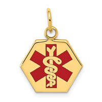 Load image into Gallery viewer, 14k Red Enamel Medical Jewelry Pendant
