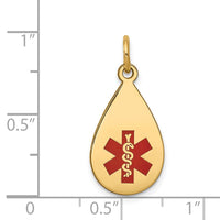 Load image into Gallery viewer, 14k Red Enamel Medical Jewelry Pendant
