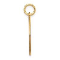 Load image into Gallery viewer, 14k Red Enamel Medical Jewelry Pendant
