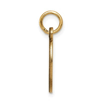 Load image into Gallery viewer, 14k Non-enameled Medical Jewelry Pendant
