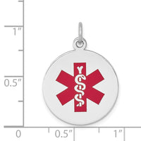 Load image into Gallery viewer, 14k White Gold Red Enamel Medical Jewelry Pendant
