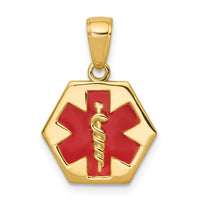 Load image into Gallery viewer, 14k Enameled Textured Back Medical Disk Pendant
