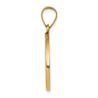 Load image into Gallery viewer, 14k Polished and Satin St John Baptist Medal Hollow Pendant
